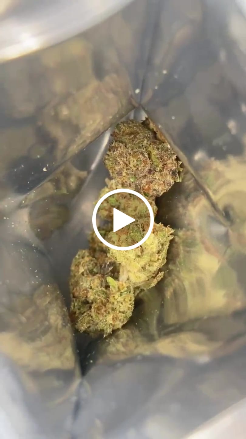 Customer video review of Purple Push Pop -THCa Flower