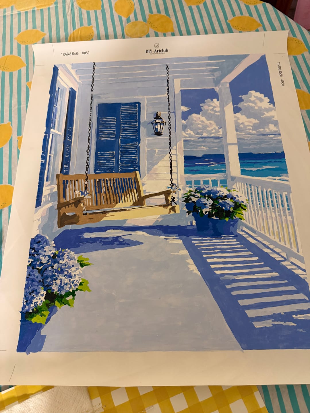 Customer photo review of Coastal Life | Paint by Number
