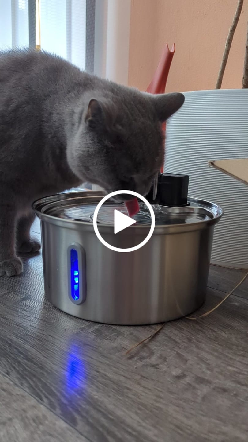 Customer video review of NordFlow 2.0 Katzenbrunnen
