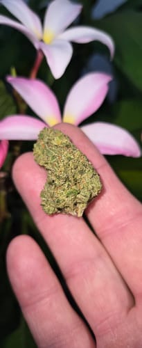 Gas Cake - 14 Grams - Indica photo review