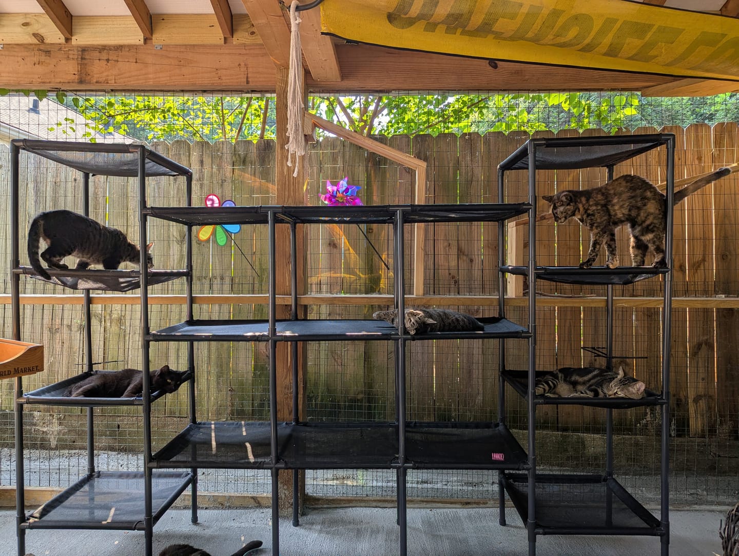 Customer photo review of Durable Cat Tower - Vista