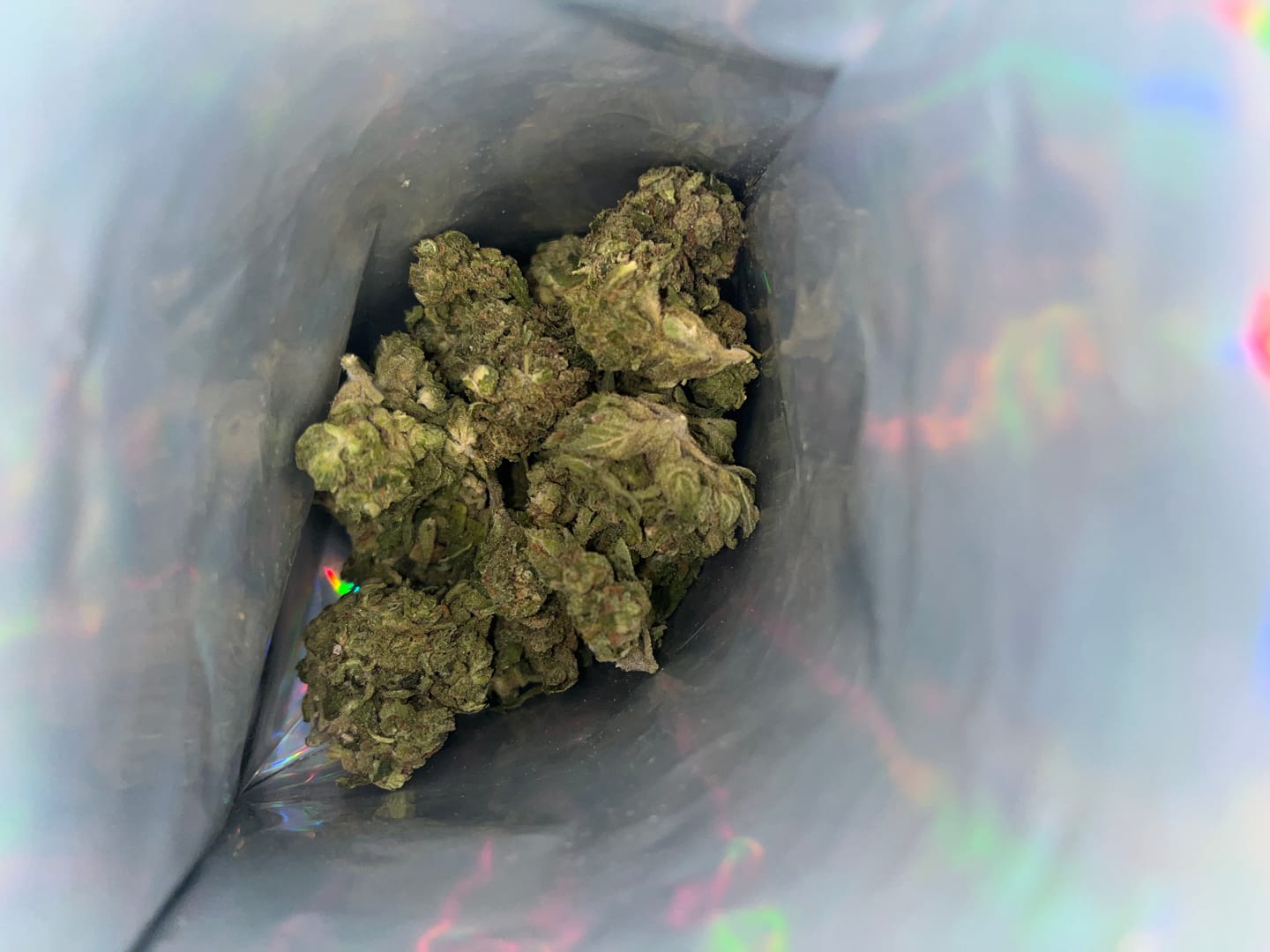 Customer photo review of Biscotti Cake - 28 Grams - Hybrid