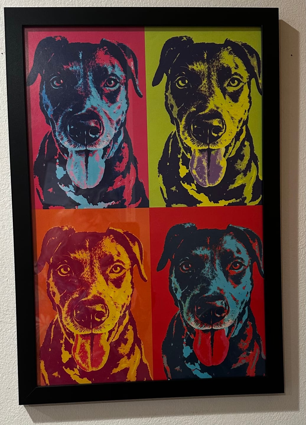 Customer photo review of Color Squares - Personalized Poster