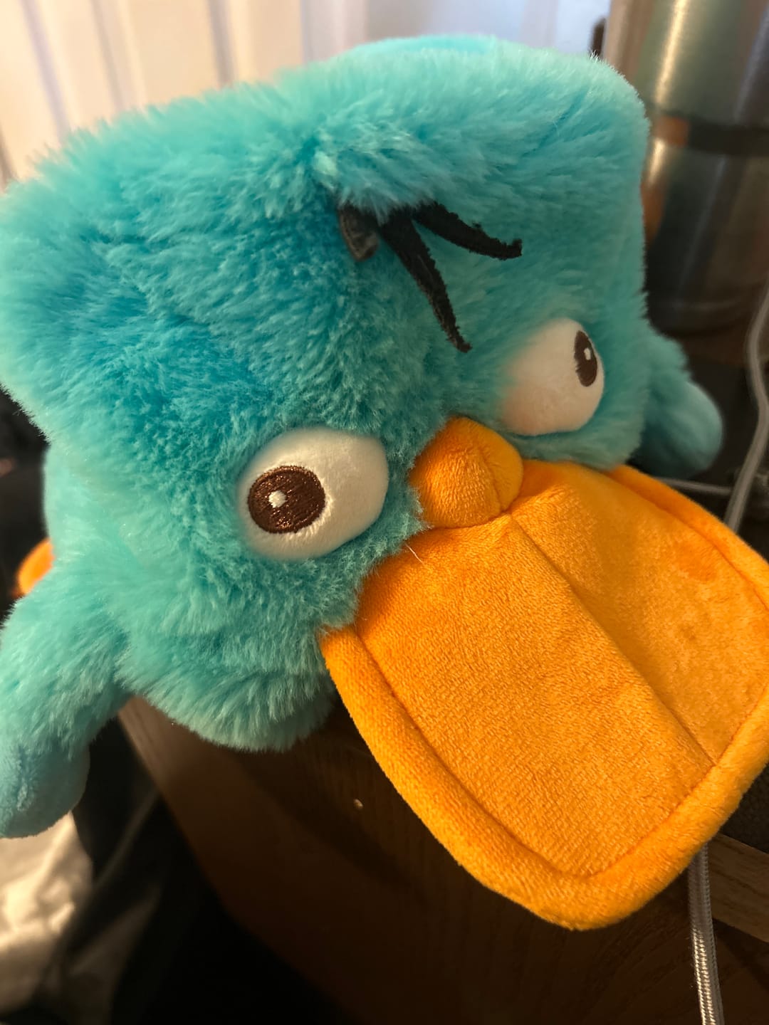 Customer photo review of Disney’s Phineas and Ferb "Perry the Platypus" – Plush Hat