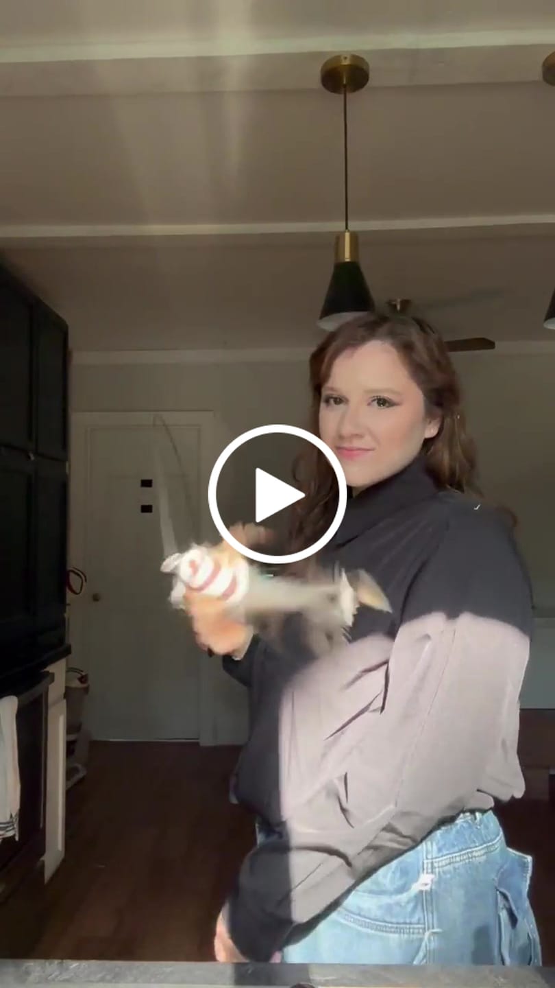 Customer video review of Simulated Bird Wand Cat Toy