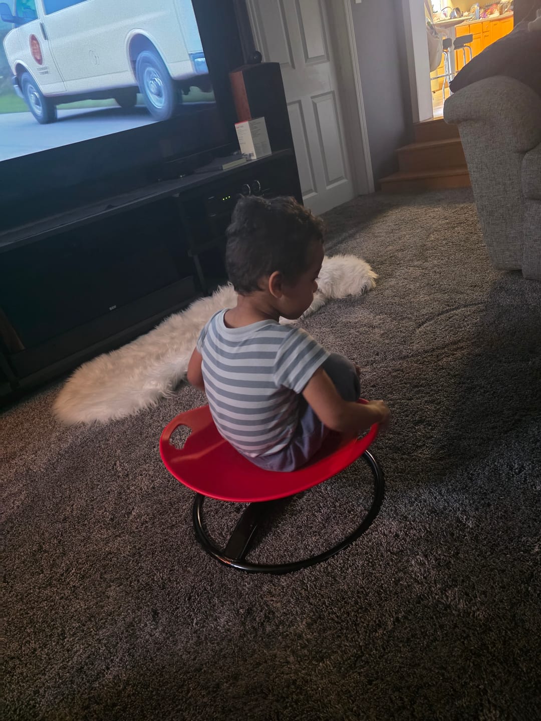 Customer photo review of Orbito™ Sensory Spinning Chair
