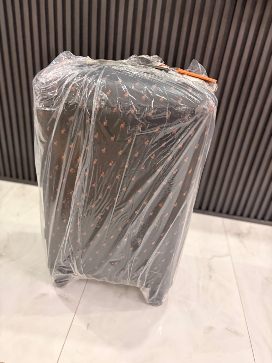 Customer photo review of Double Pack 75cm Large Check-In