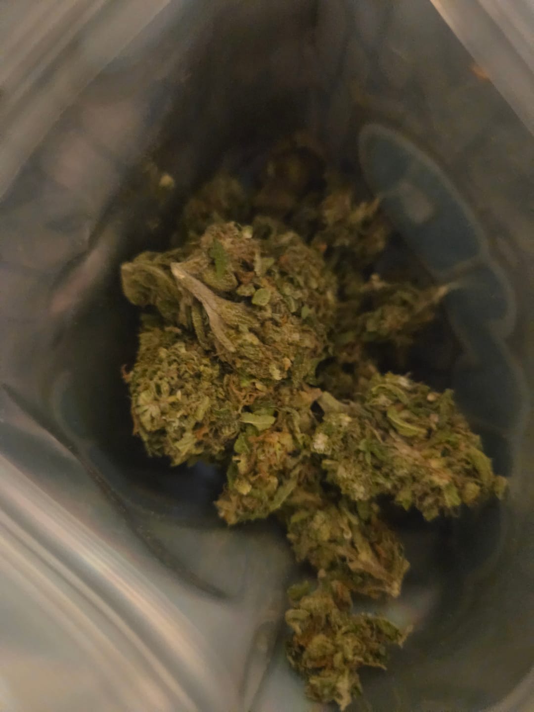 Customer photo review of Green Crack - 28 Grams - Sativa