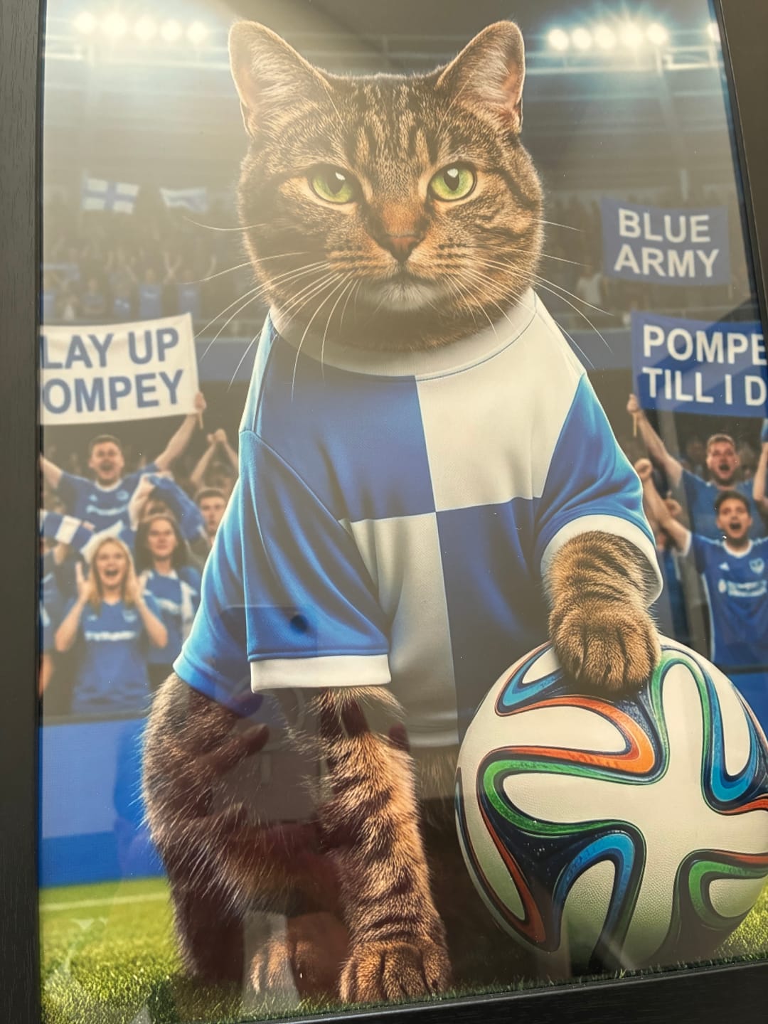 Customer photo review of World Cup - Personalised Poster
