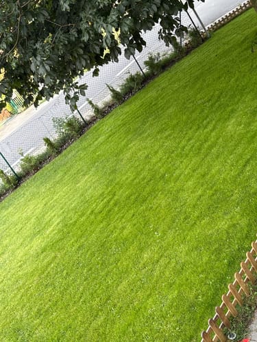 Reviewer's lush green lawn in a garden setting, showing results after using the RASENBLITZ Sommerdünger.