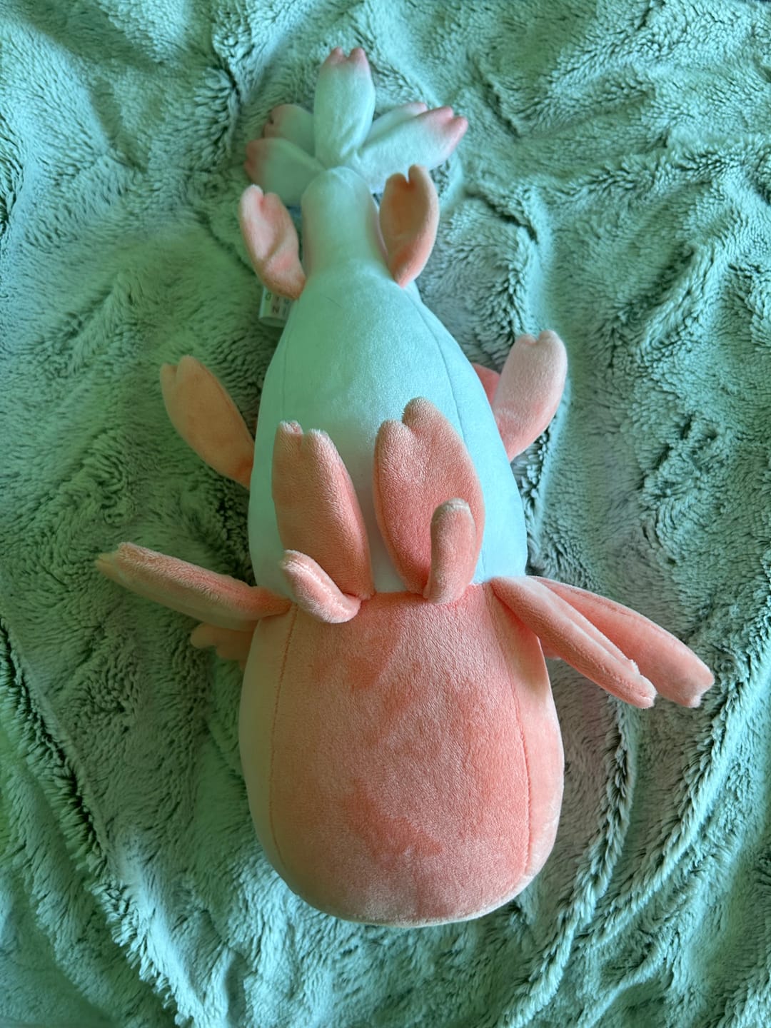 Customer photo review of Rain World - Strawberry Lizard Plush