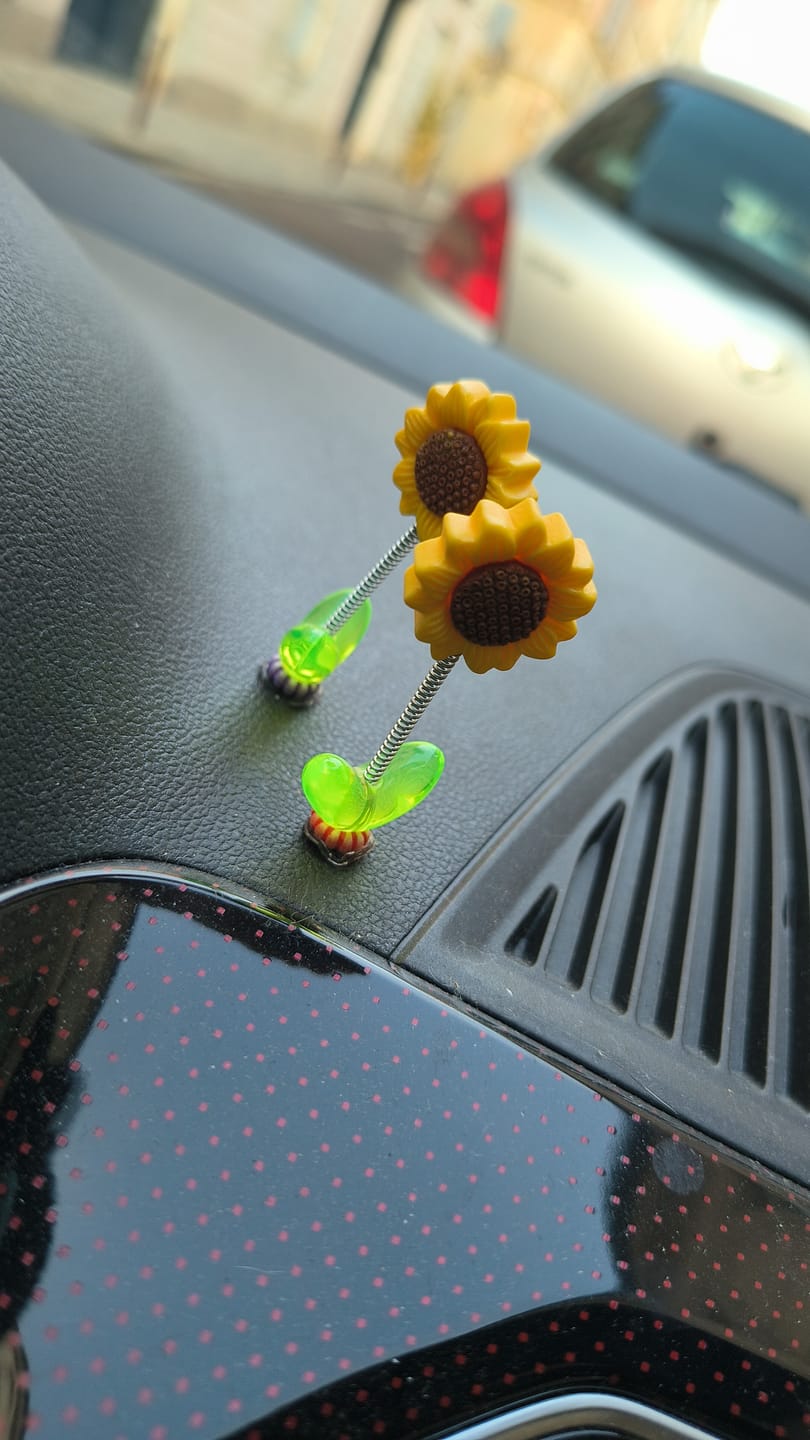 Customer photo review of Mini Shaking Sunflowers