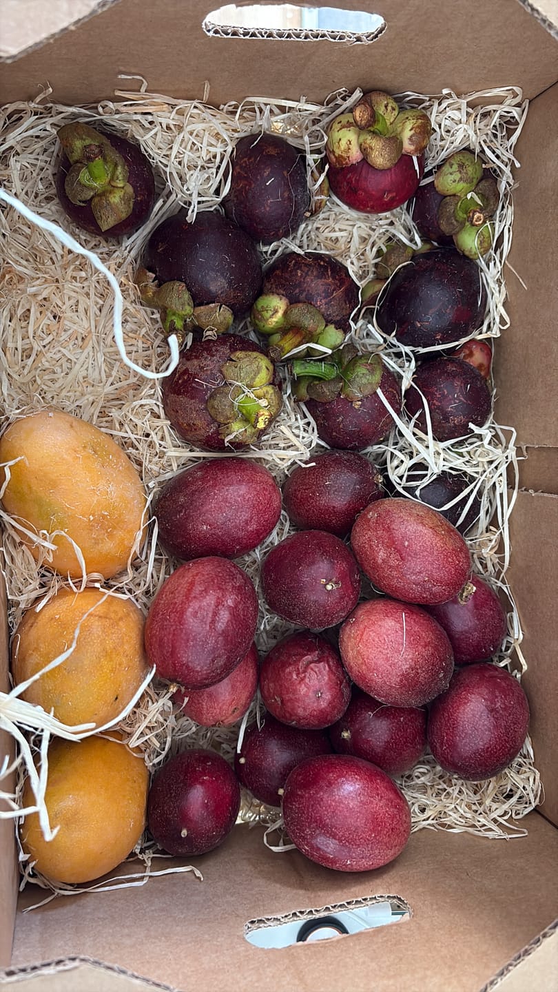 Customer photo review of Mangostan (Mangosteen) Sommeraktion %