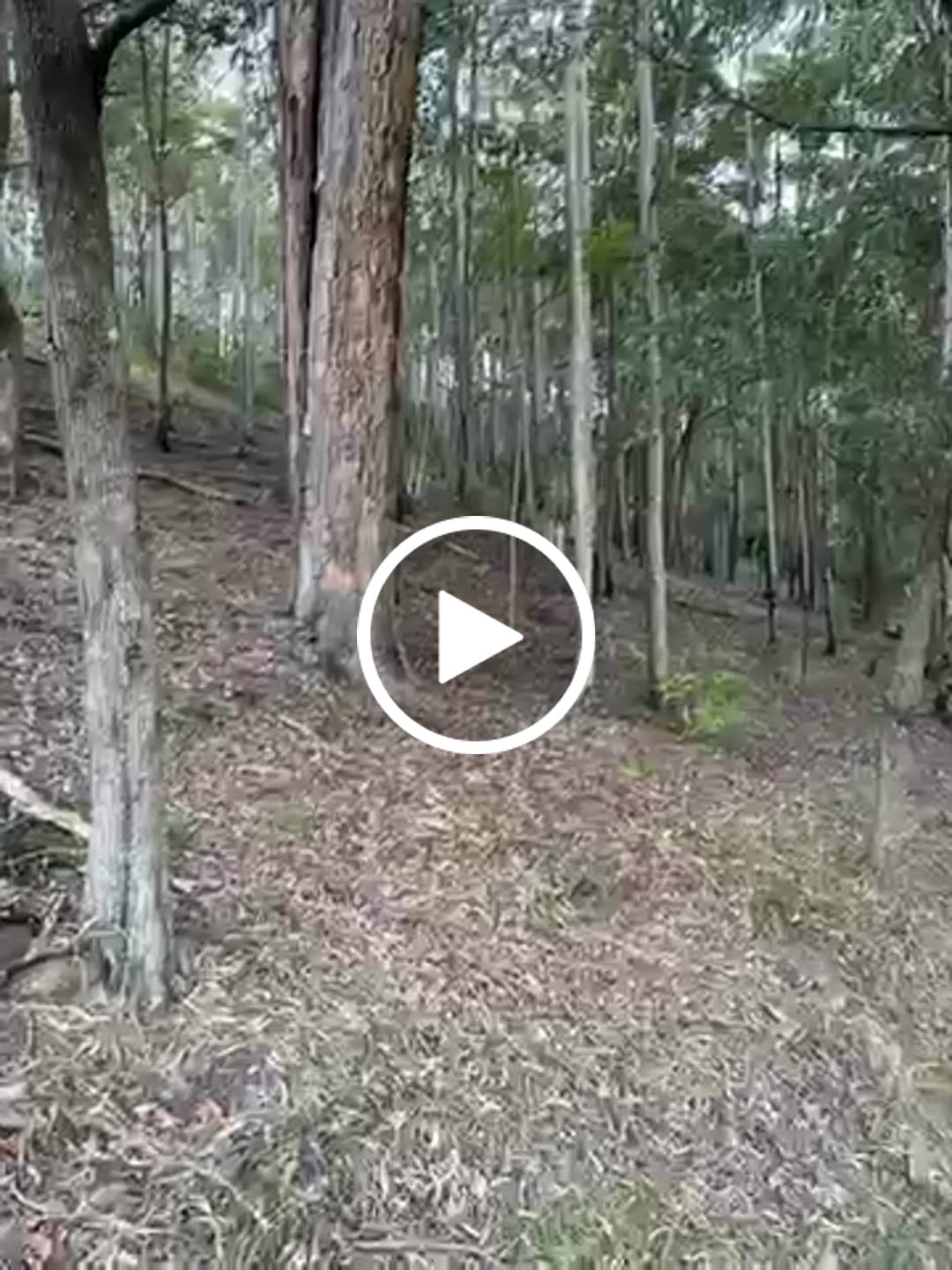 Customer video review of Sharkskin PLUS Seat Covers for Mazda BT-50 Dual cab (July/2020-On)