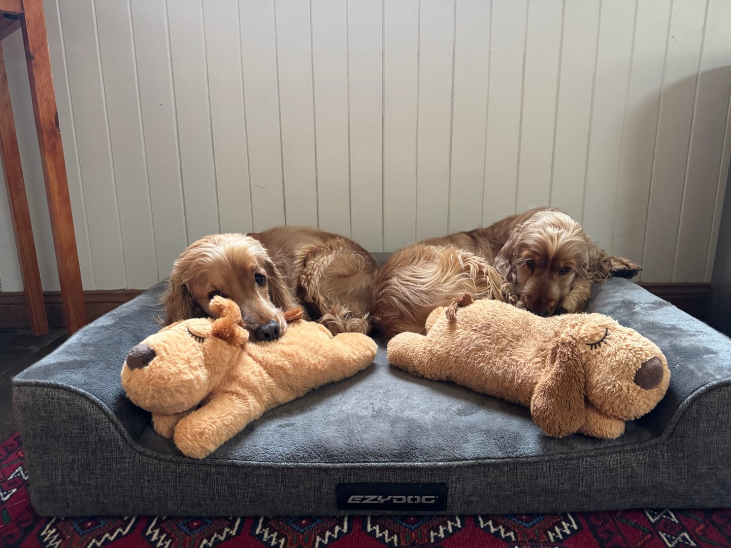 Customer photo review of Heartbeat Buddy for Pets
