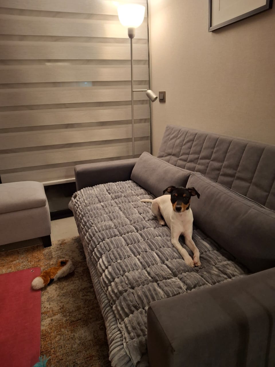 Customer photo review of Majestuoso · Protector Premium para Sofá