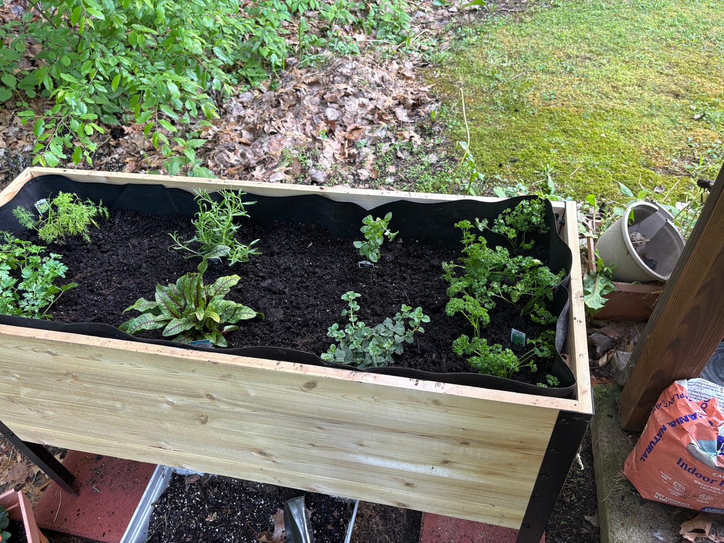 Customer photo review of Anniversary Sale | 18” x 48” Deep Root Raised Garden Bed