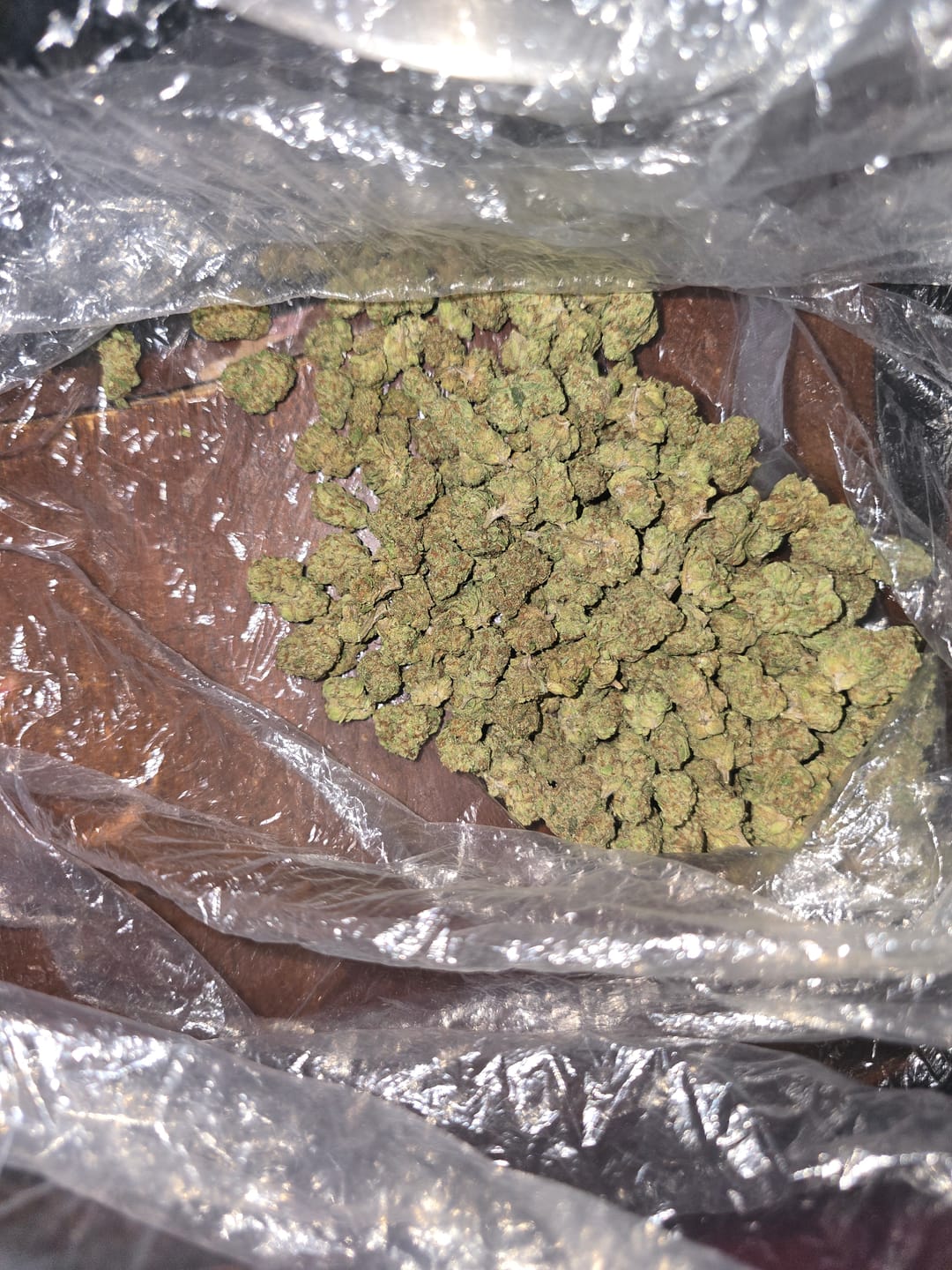 Customer photo review of Blueberry Muffins Minis - Bulk Minis - Indica