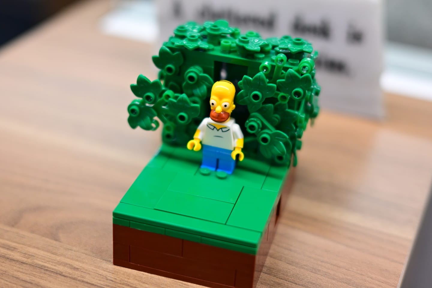 Customer photo review of Buildable Homer in the Bushes Display Set