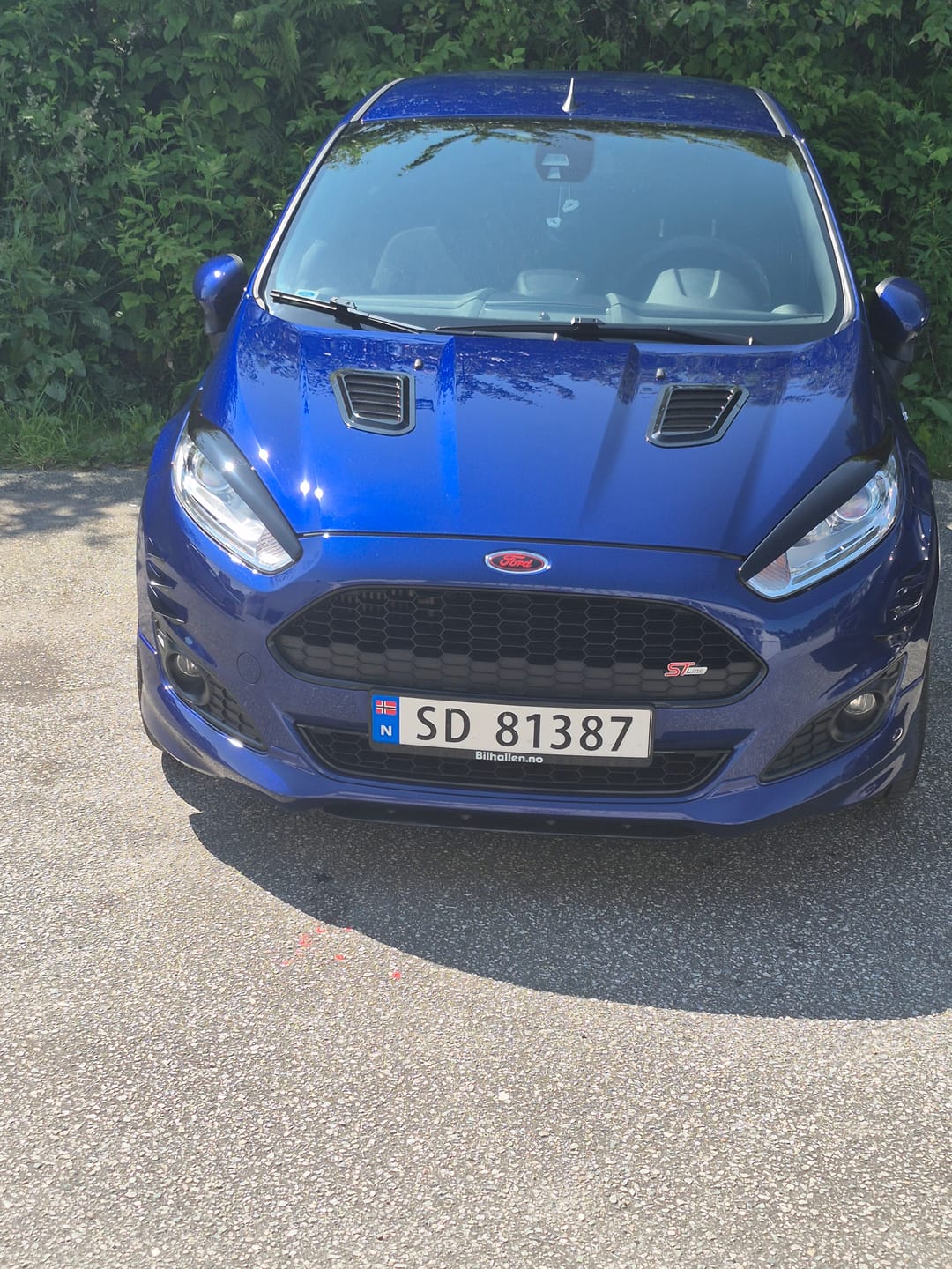 Customer photo review of Proform Headlight Eyebrows - Mk7.5 Fiesta (Various Finishes)