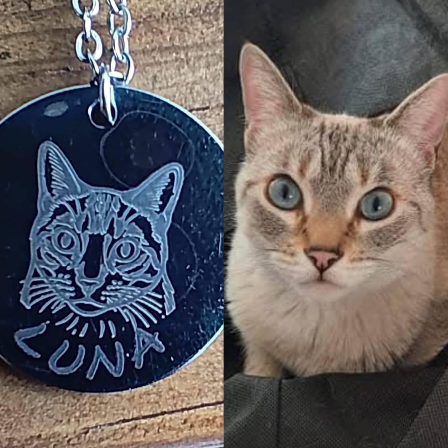 Customer photo review of Collar Ilustración Personalizado