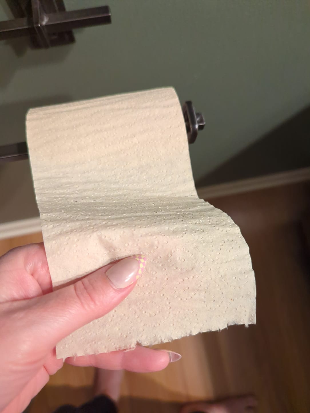 Customer photo review of Leafy EarthLuxe Bamboo Reserve - 80 roll 2 ply