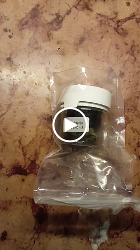 Customer video review of THC-A 31% Flower Gary Payton