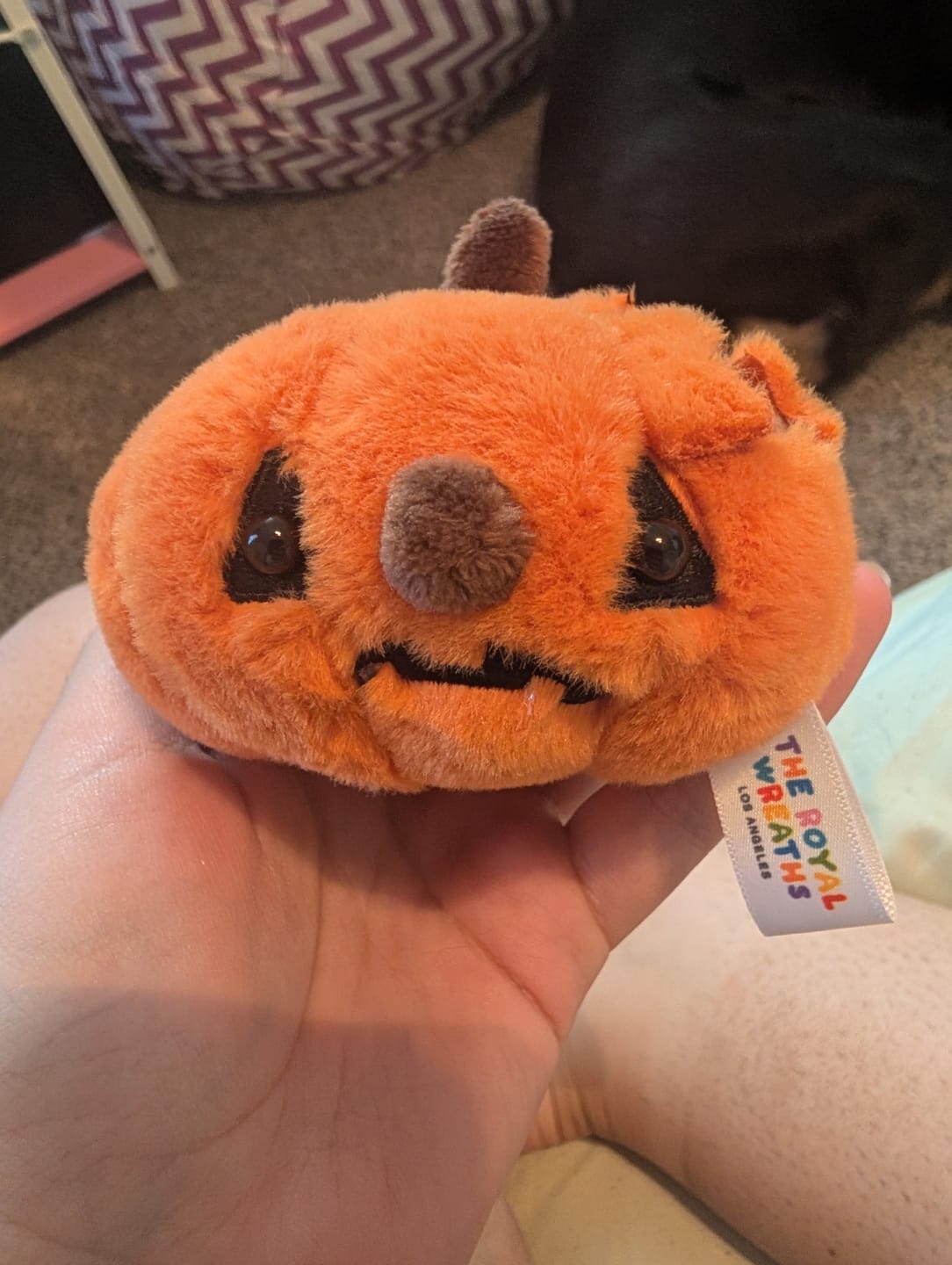 Customer photo review of Forgotten Jack O' Lantern