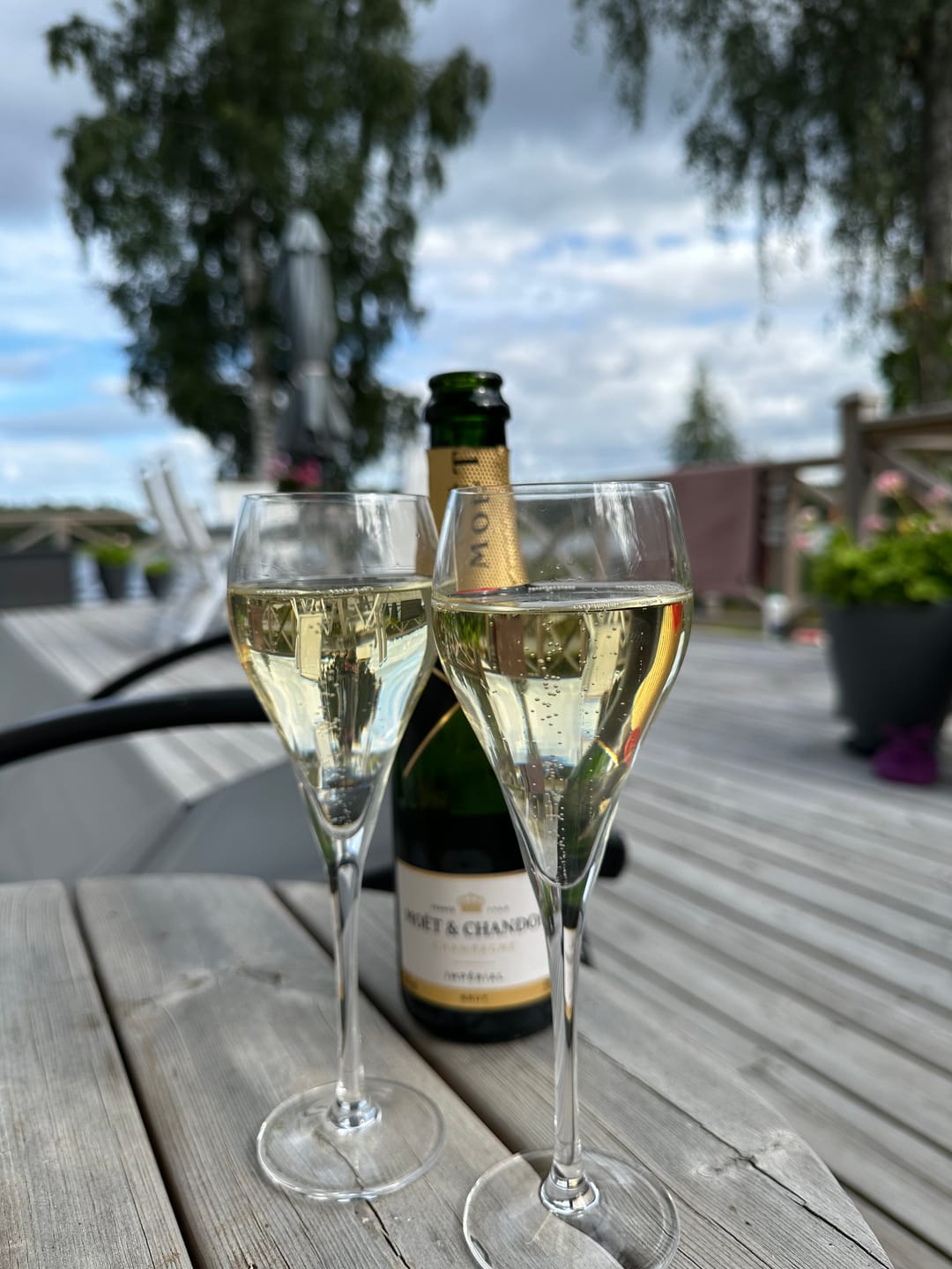 Customer photo review of Stiernholm Bubbles champagneglas 16 cl 6-pack klar