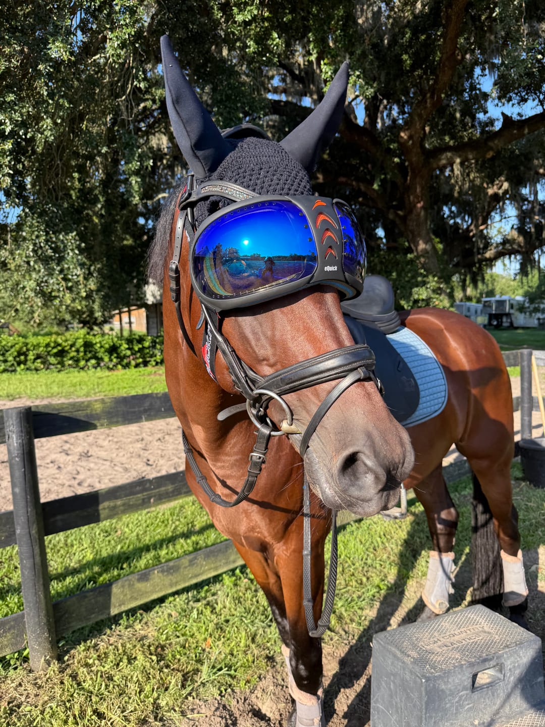 Customer photo review of eVysor - UV Horse Riding Goggles!