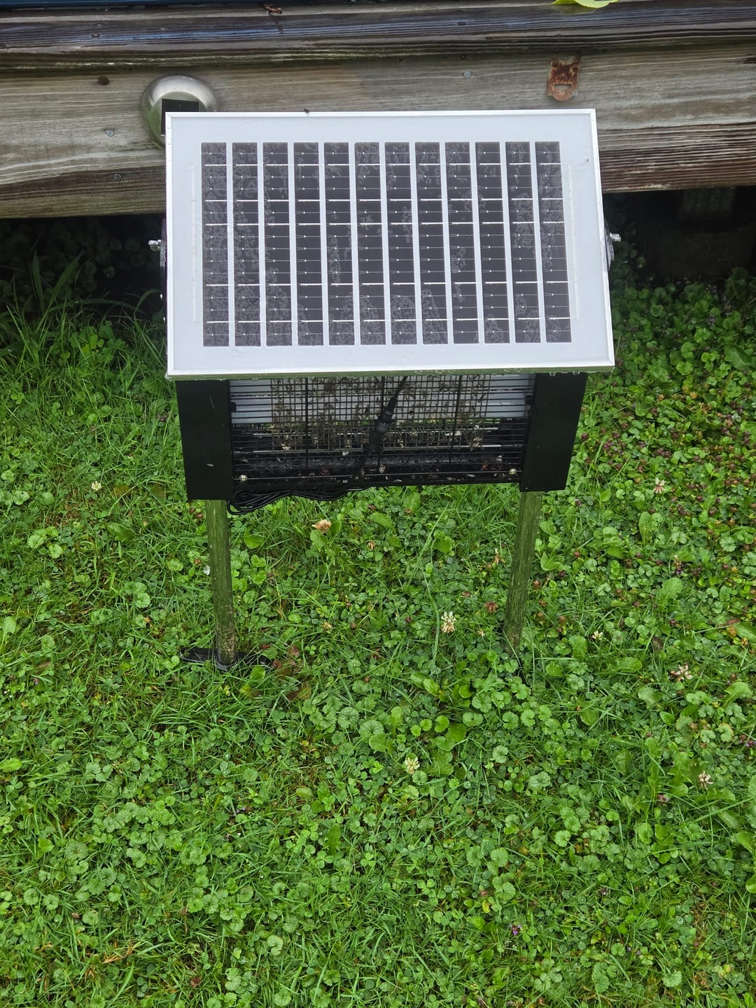 Customer photo review of Upgraded Solar Mosquito Killer Lamp