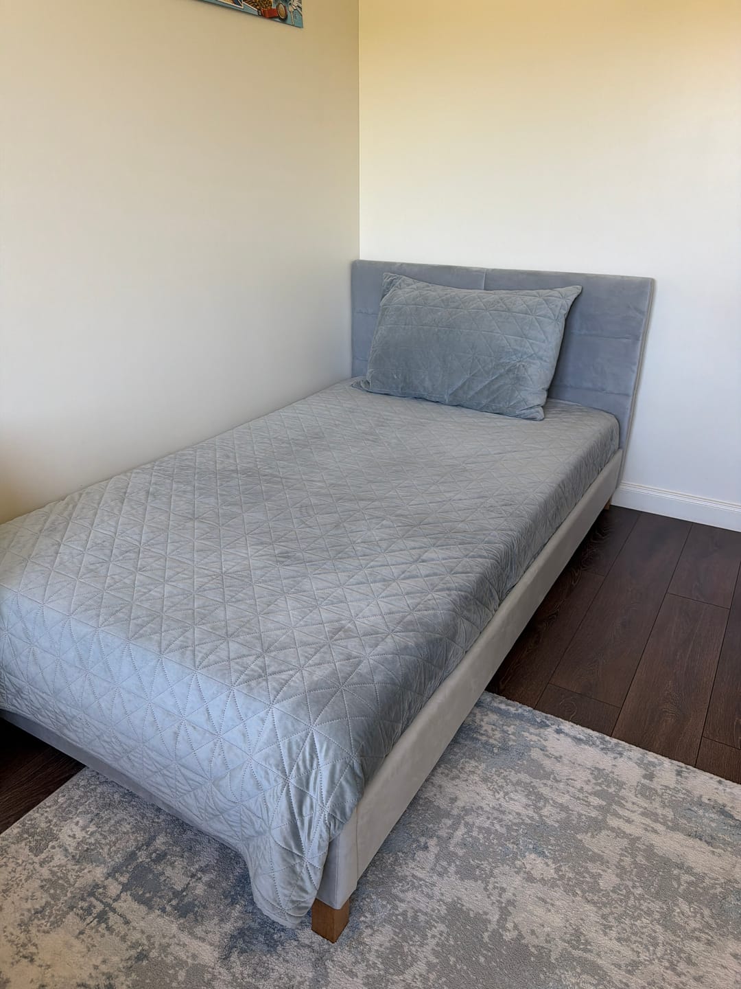Customer photo review of Pat SIERRA 120x200, stofa catifelata gri deschis - Bluvel 03, somiera inclusa