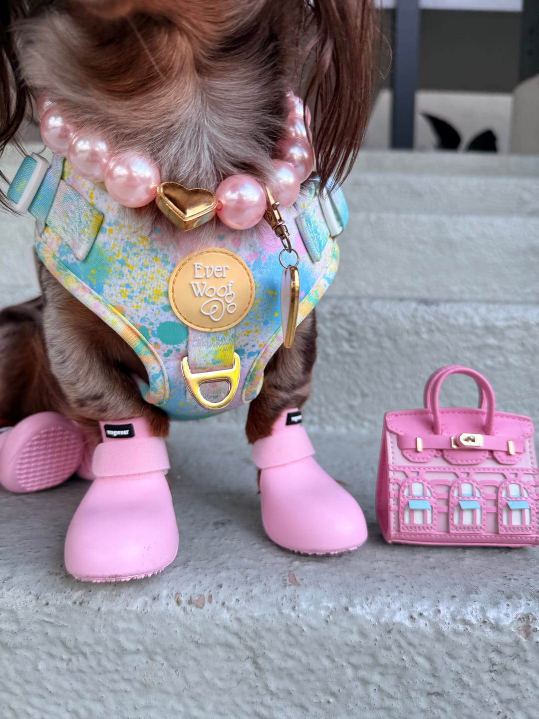 Customer photo review of WagWellies® by wagwear