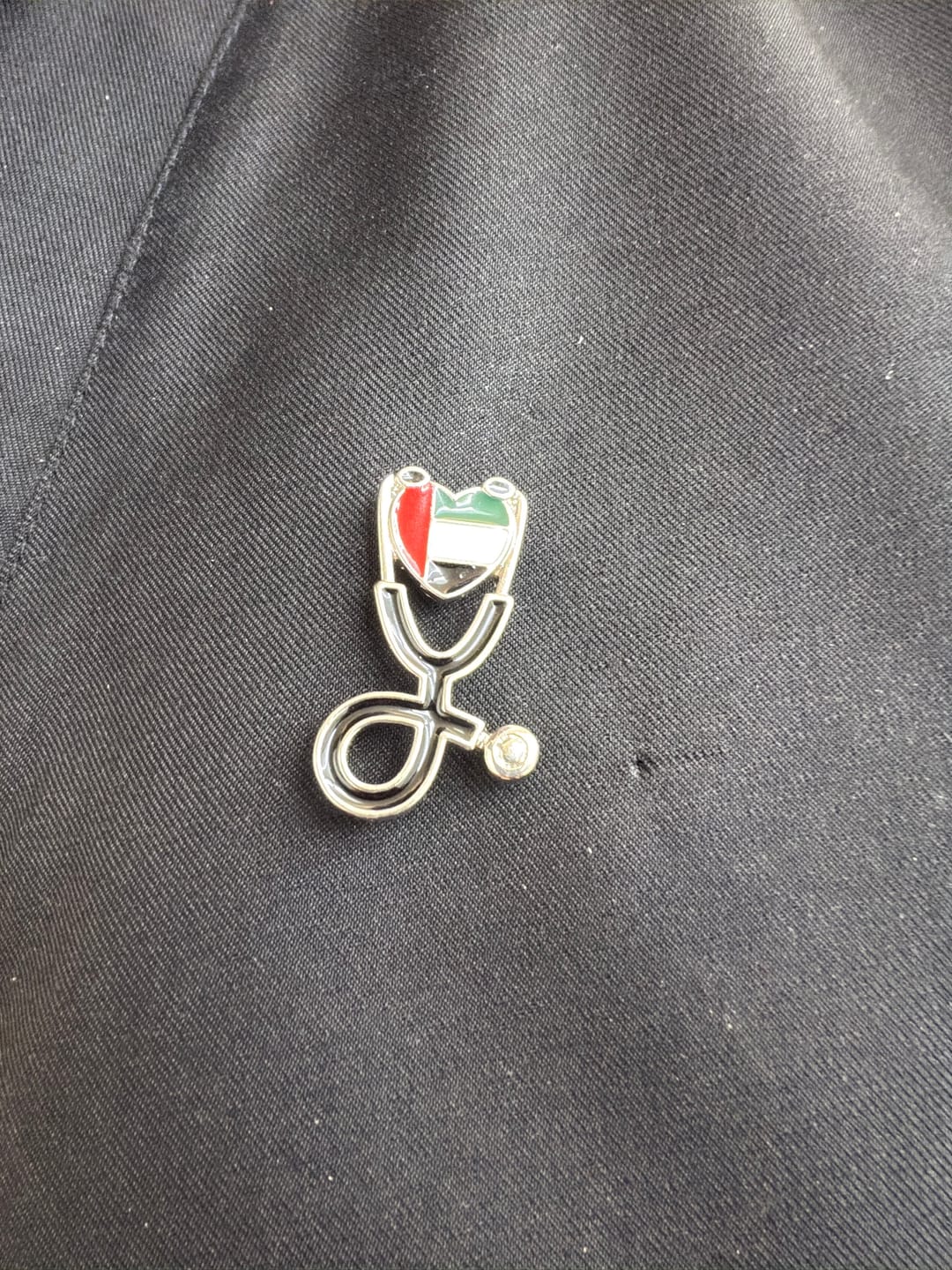 Customer photo review of UAE Flag Pin