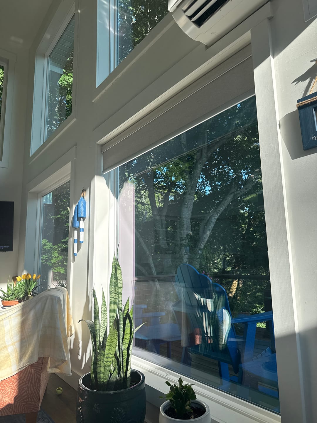 Customer photo review of SmartWings Motorized Roller Shades 100% Blackout Safari