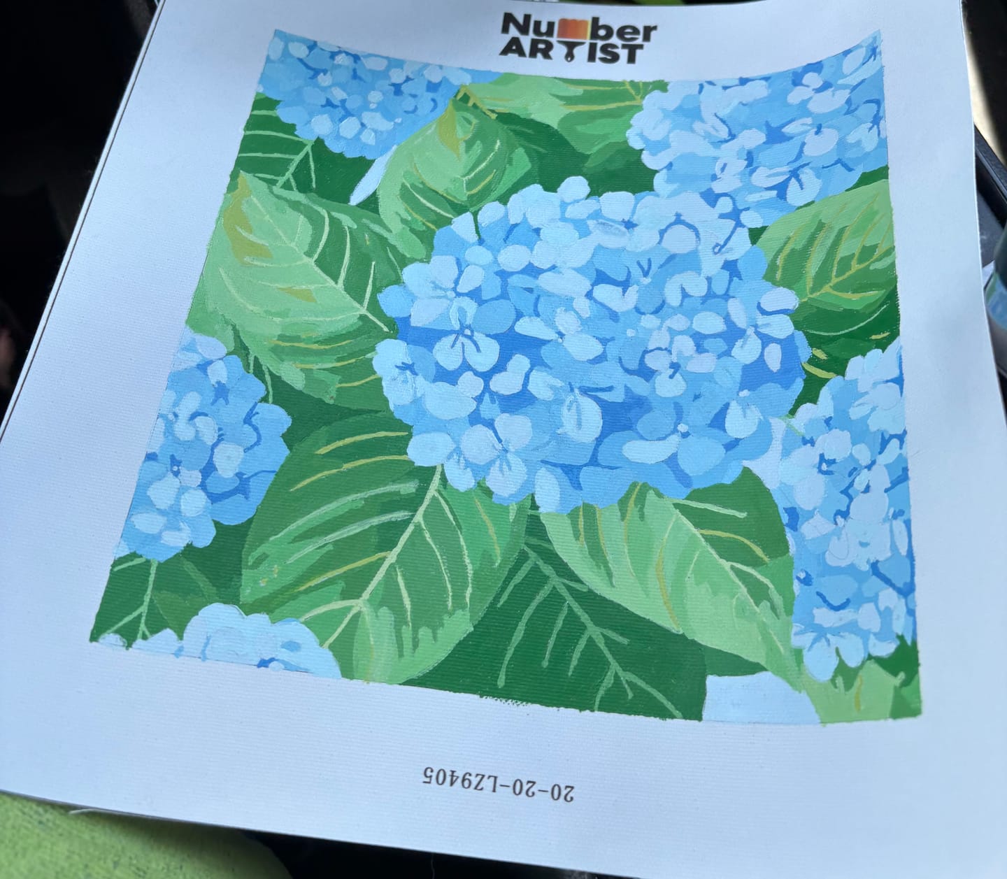 Customer photo review of Sky Hydrangea