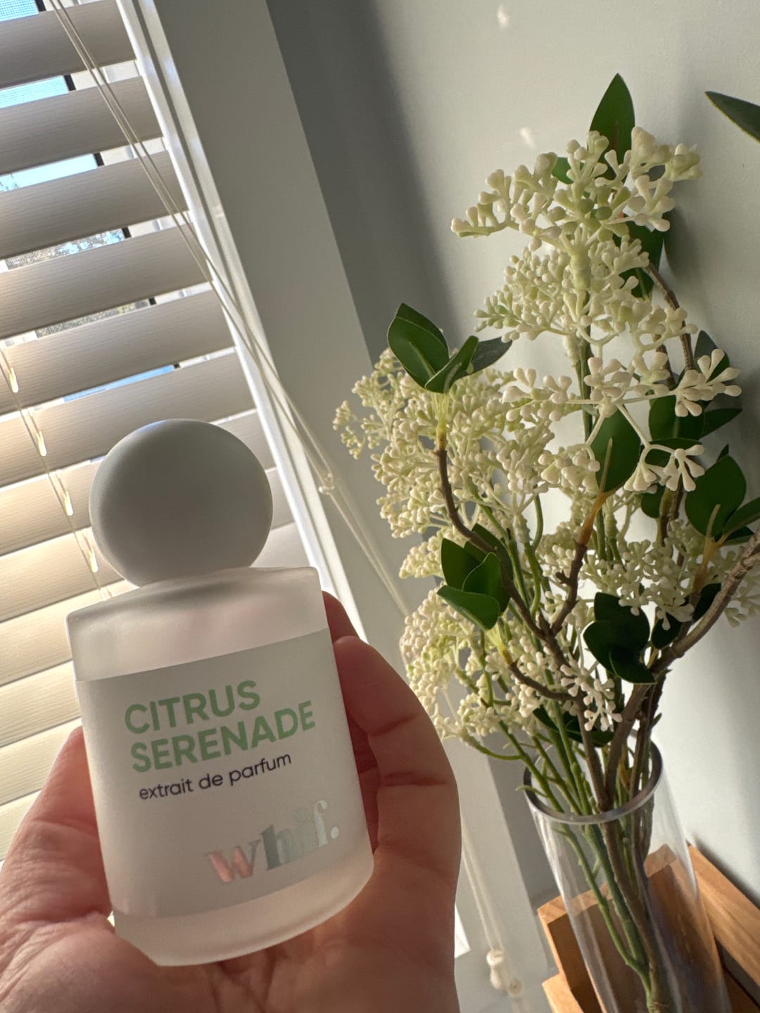 Customer photo review of Citrus Serenade