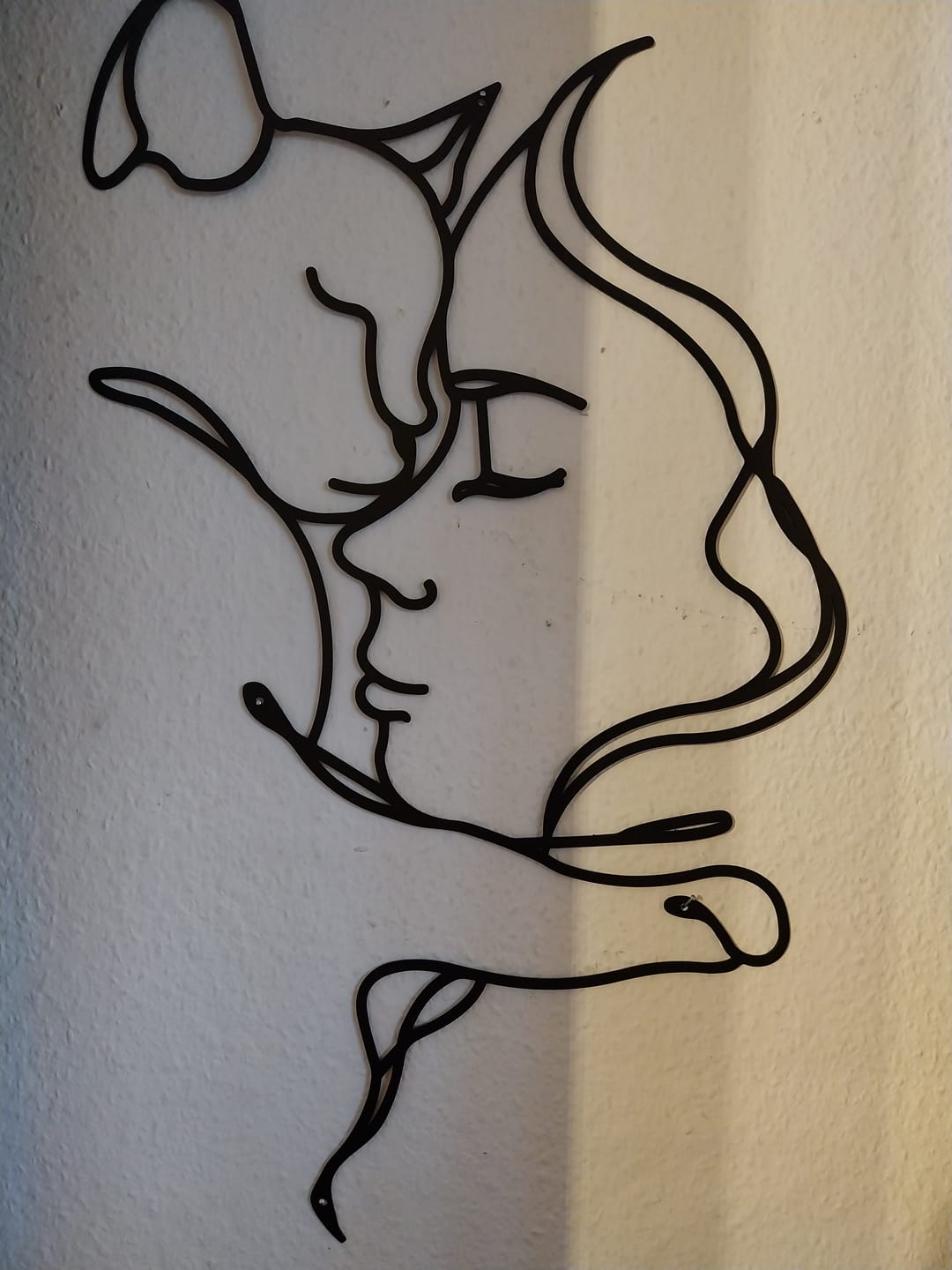 Customer photo review of Décoration Murale Métal - Amoureux des chats