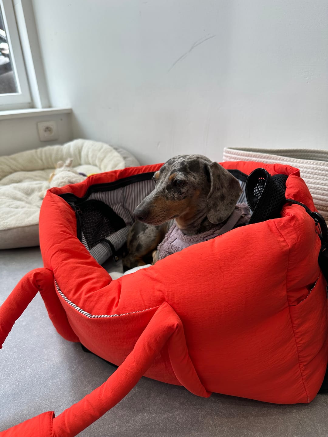 Customer photo review of Sac de voyage orange
