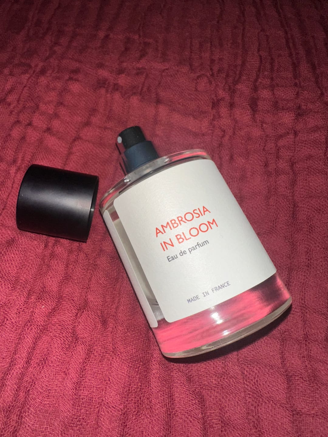 Customer photo review of Ambrosia in Bloom