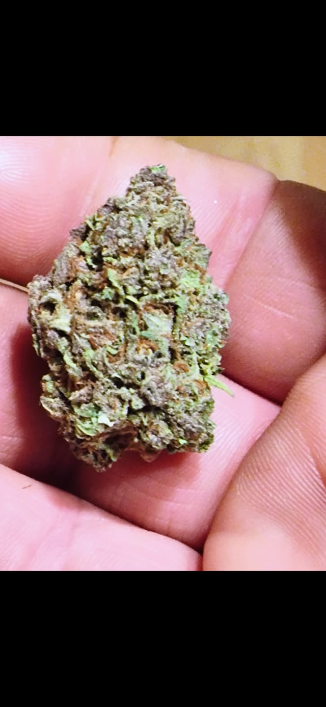 Customer photo review of OG Kush THCA Flower (Budget)