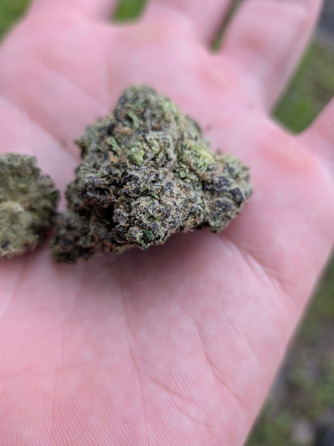 Customer photo review of White Widow - 28 Grams - Hybrid
