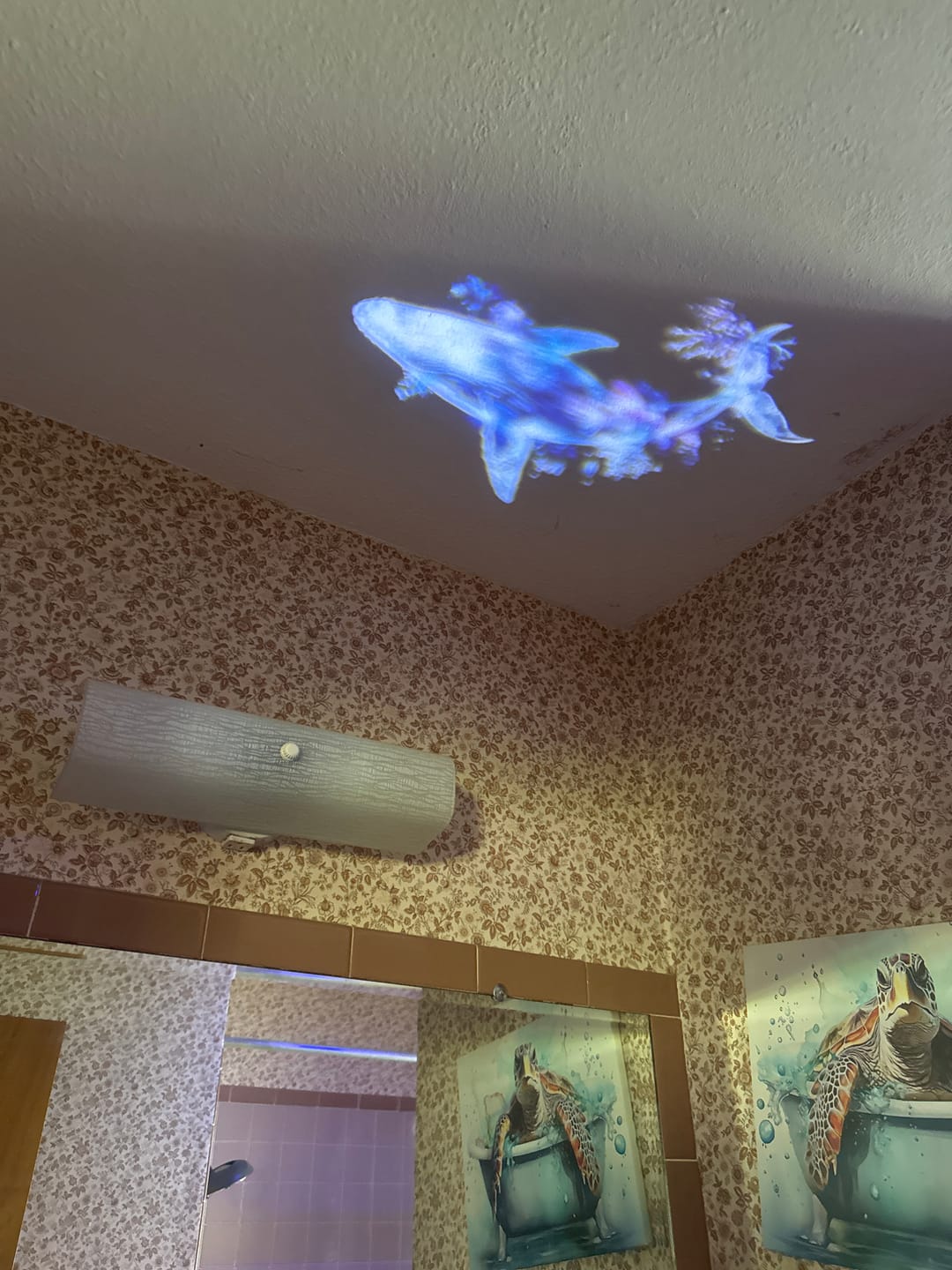Customer photo review of Litlamp® Holographic Night Light Projector