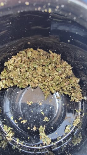 Good Day - 14 Grams - Ice Cream Cake - Indica photo review