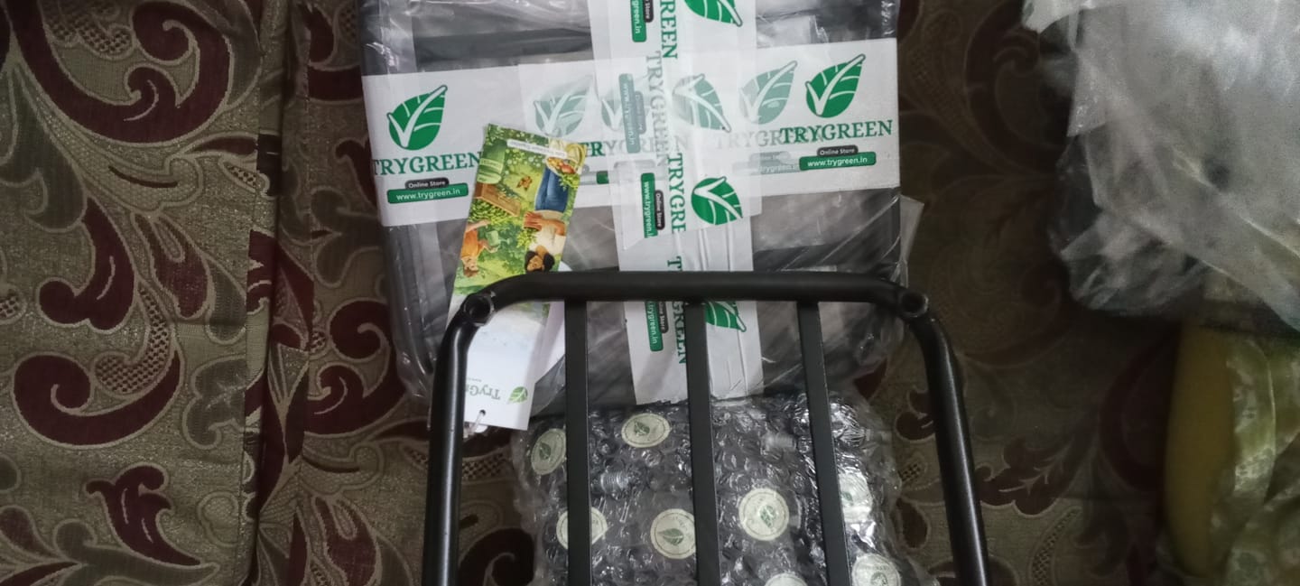 Customer photo review of TryGreen Daze Wheel Rolling Plant Stand for Planters
