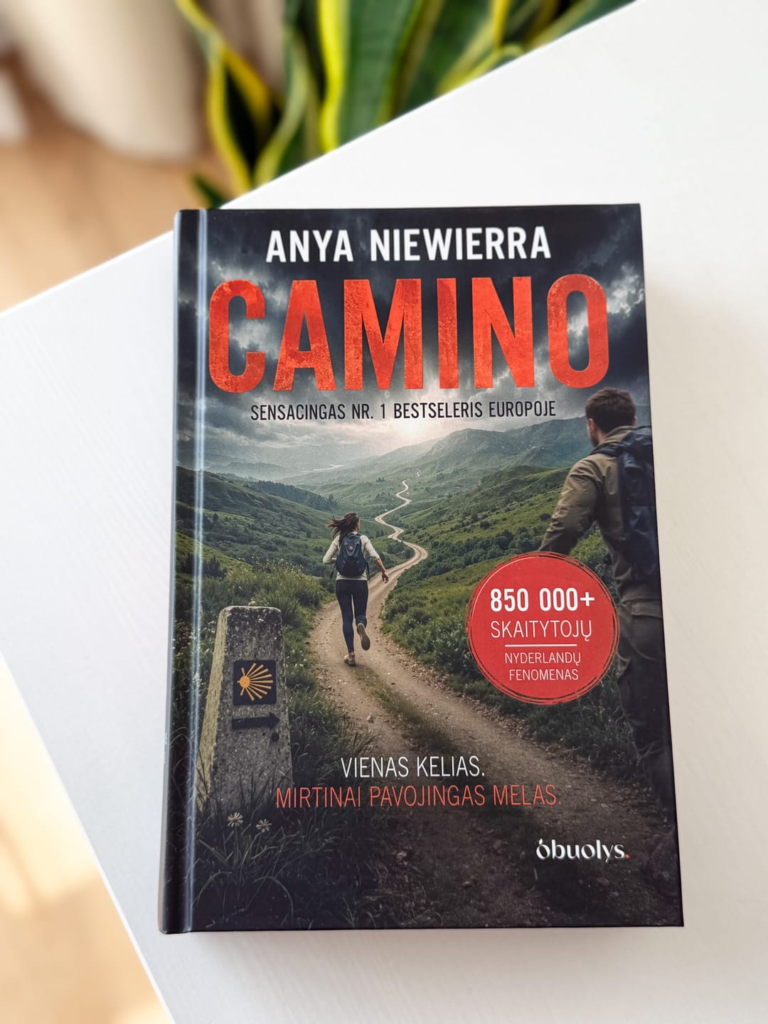 Customer photo review of Camino: psichologinis detektyvas, apie kurį kalba visa Europa