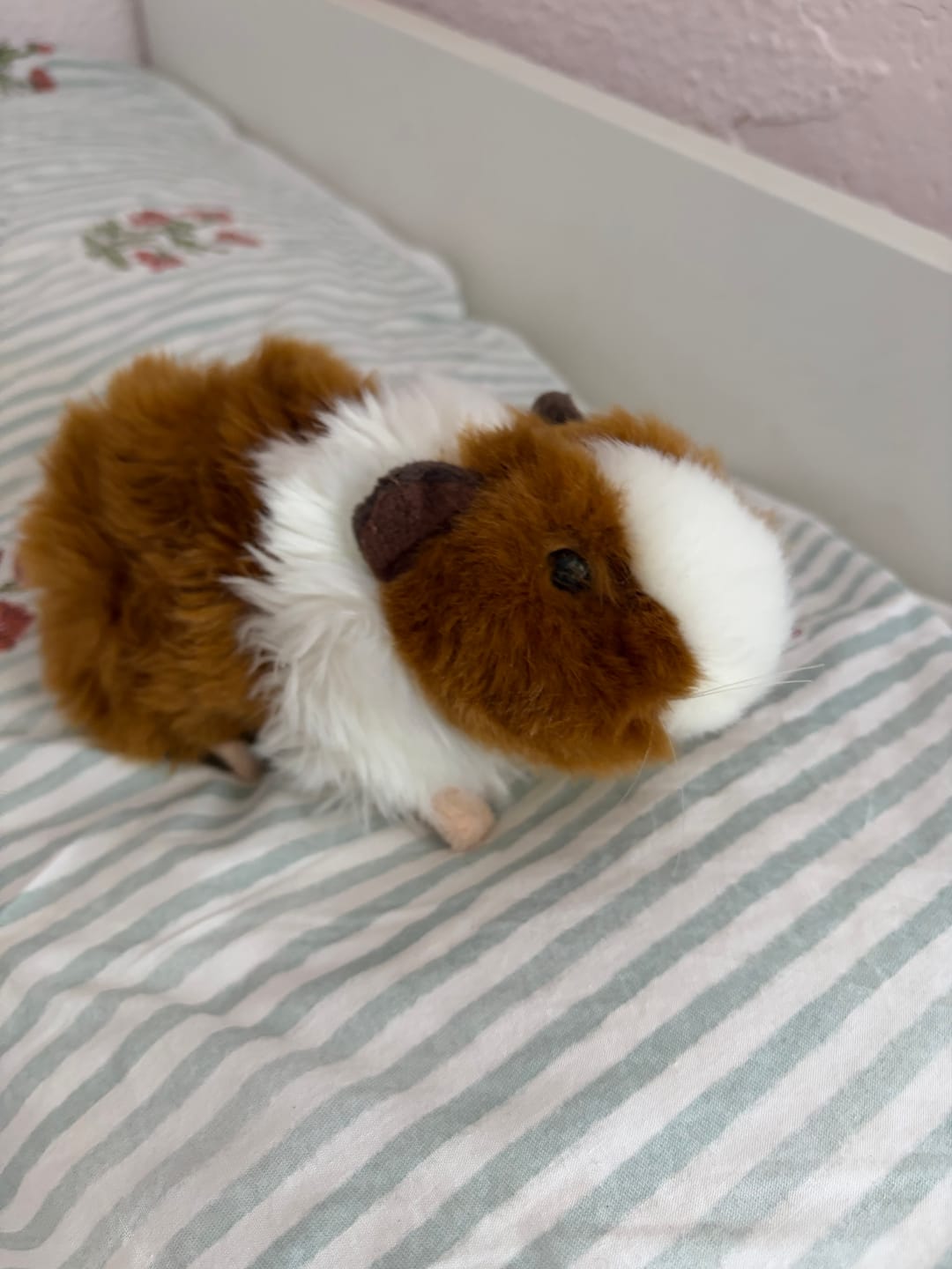 Customer photo review of Guinea Pig Soft Stuffed Plush Toy