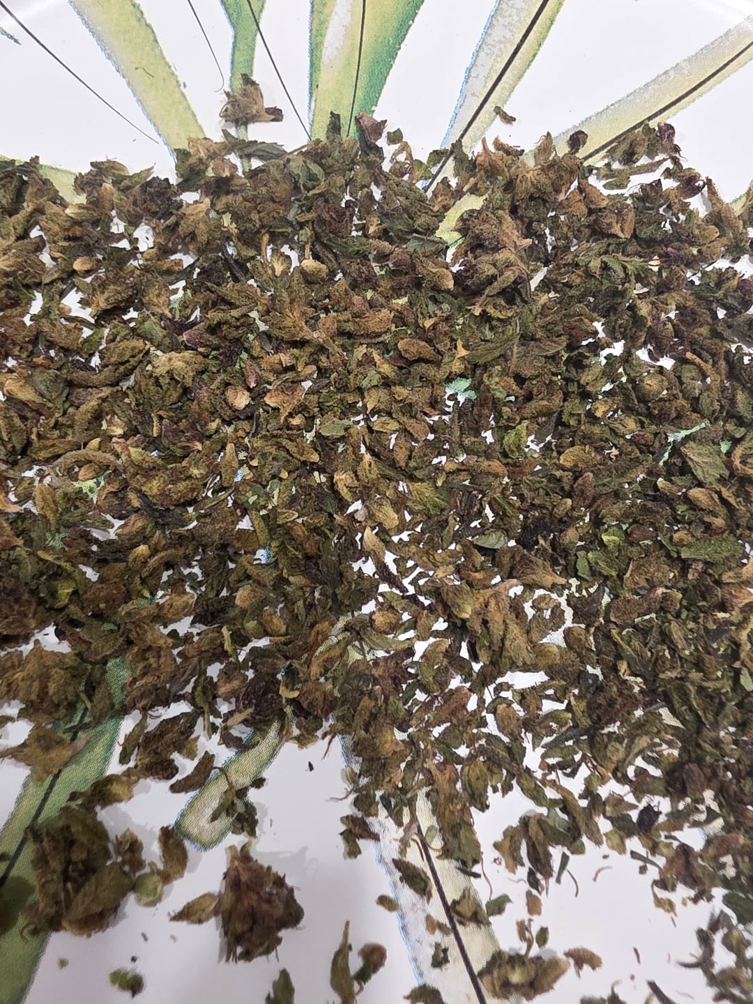 Customer photo review of White Widow MICROS - 28 Grams - Hybrid