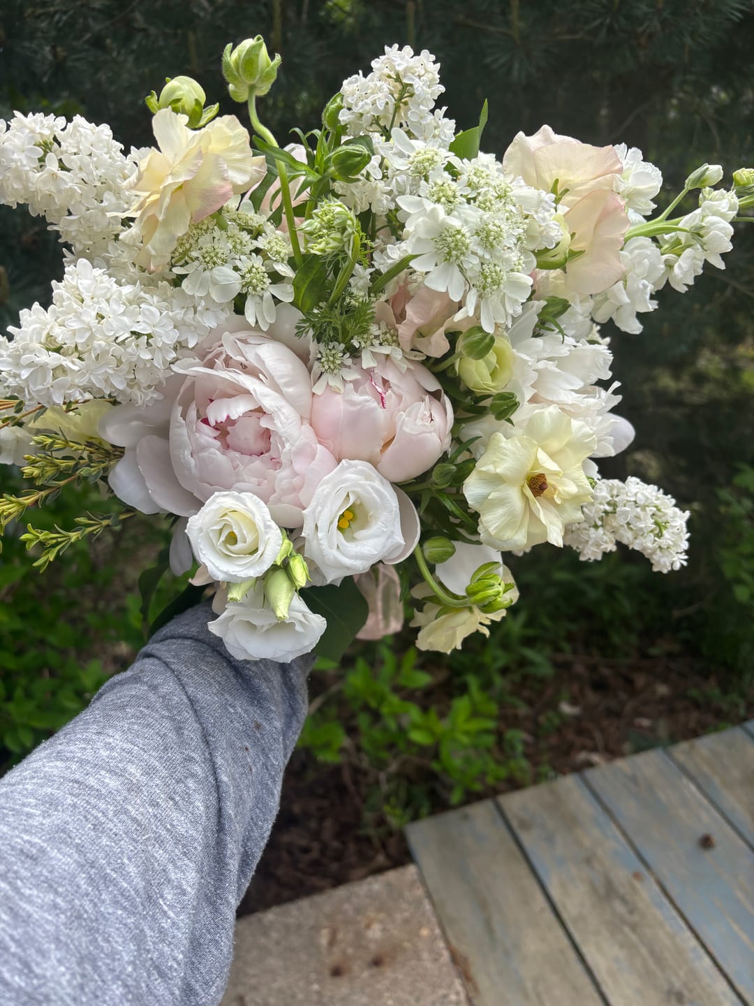 Customer photo review of Coral Peach Ranunculus