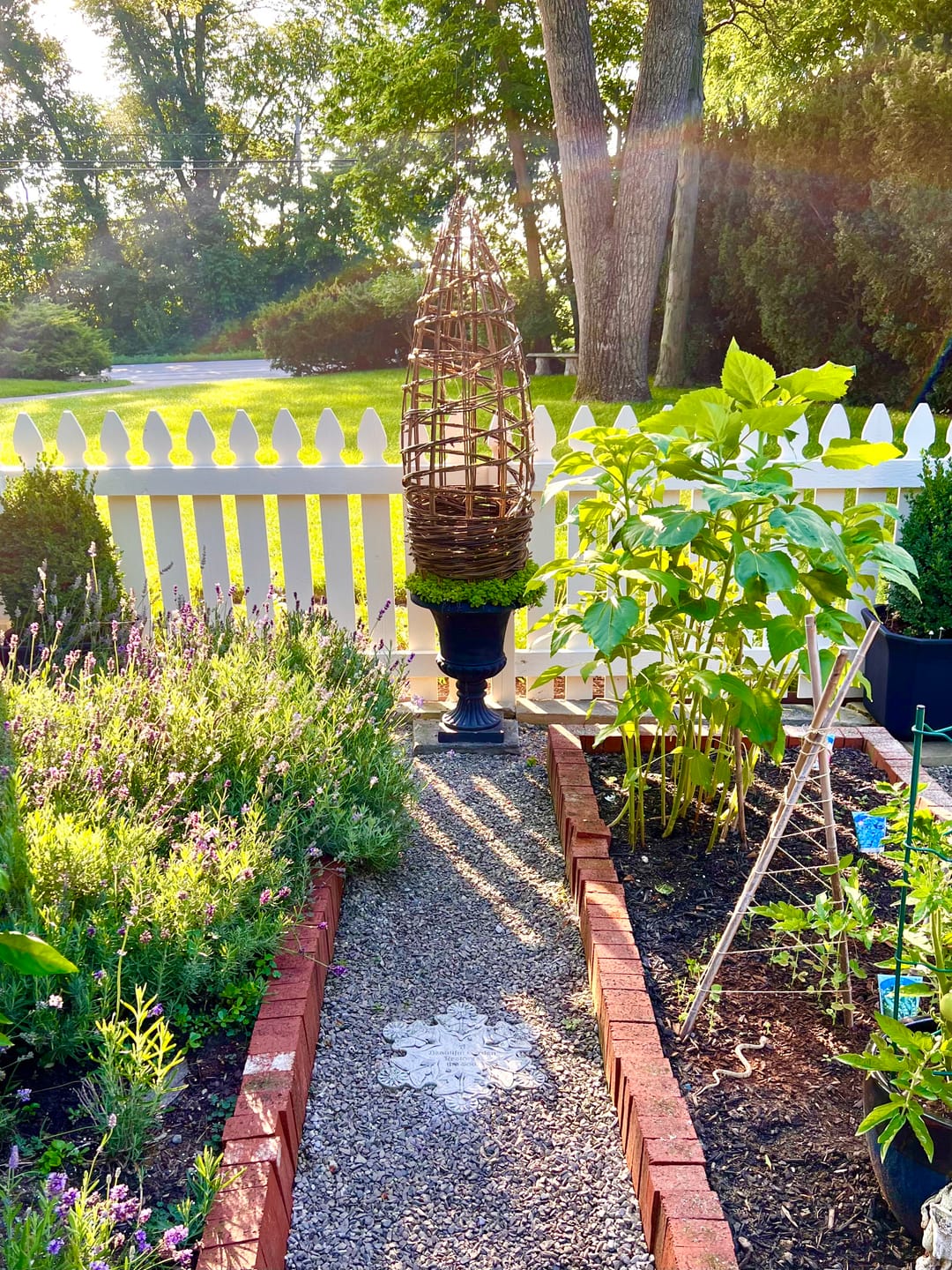 Customer photo review of The Willow Plant Support (3.8 Feet Tall)